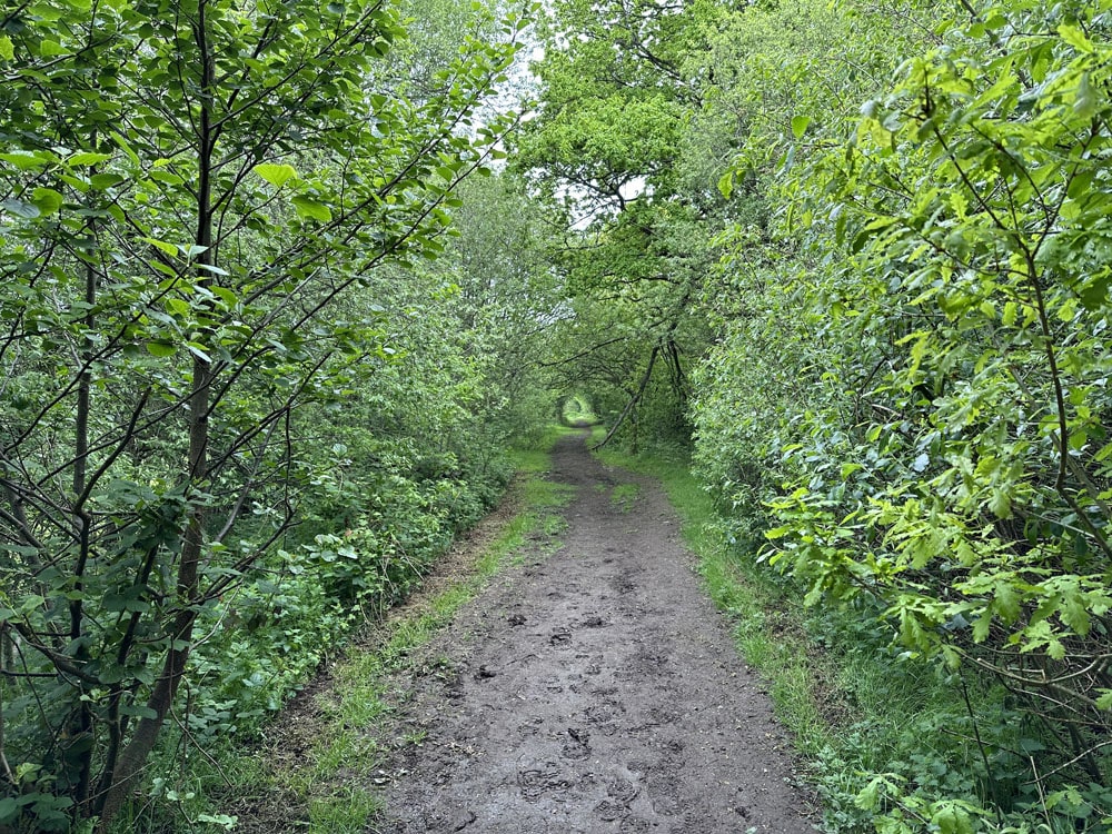 Portfolio main image